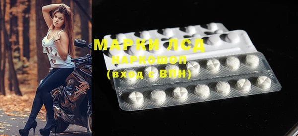 ГАЛЛЮЦИНОГЕННЫЕ ГРИБЫ Каменка