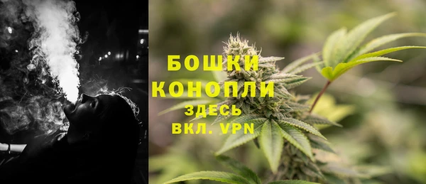 спайс Инсар