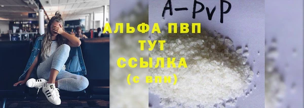 apvp Иннополис