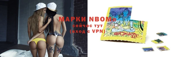 apvp Иннополис
