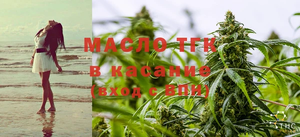 ECSTASY Каменногорск