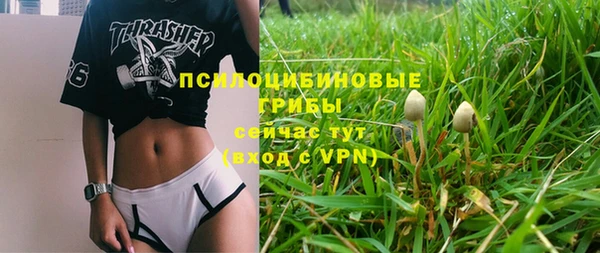 ECSTASY Каменногорск