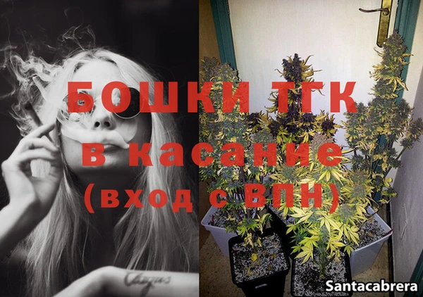 ГАЛЛЮЦИНОГЕННЫЕ ГРИБЫ Каменка