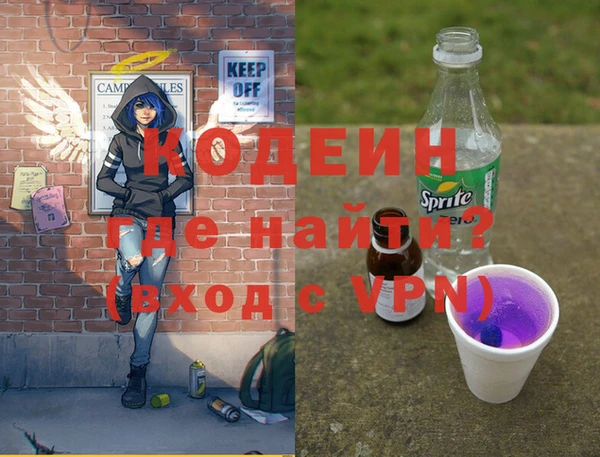 apvp Иннополис