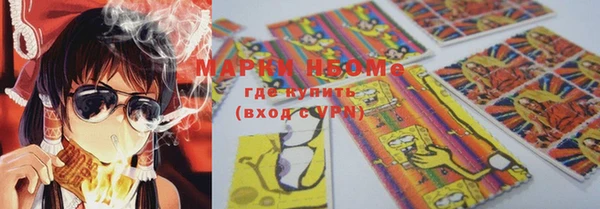 apvp Иннополис