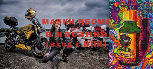 apvp Иннополис